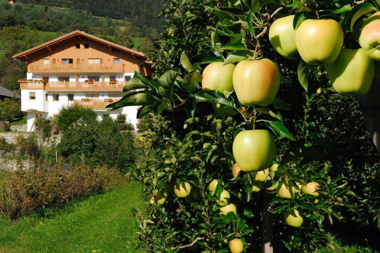 Huberhof App Gala Apartment Feldthurns Bagian luar foto